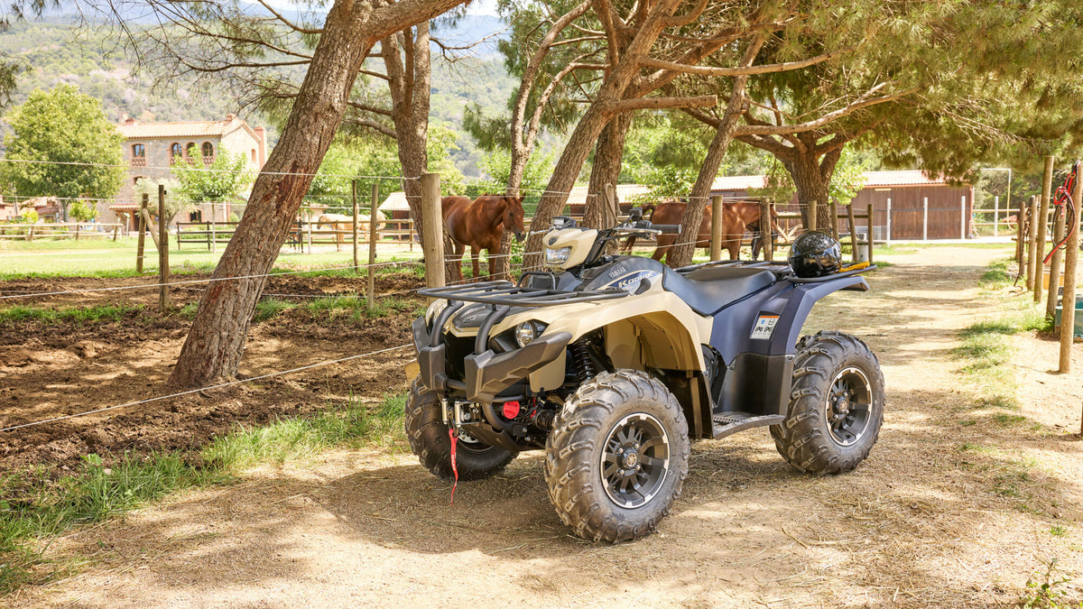 Kodiak 450 EPS SE