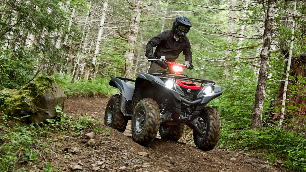 Grizzly 700 EPS