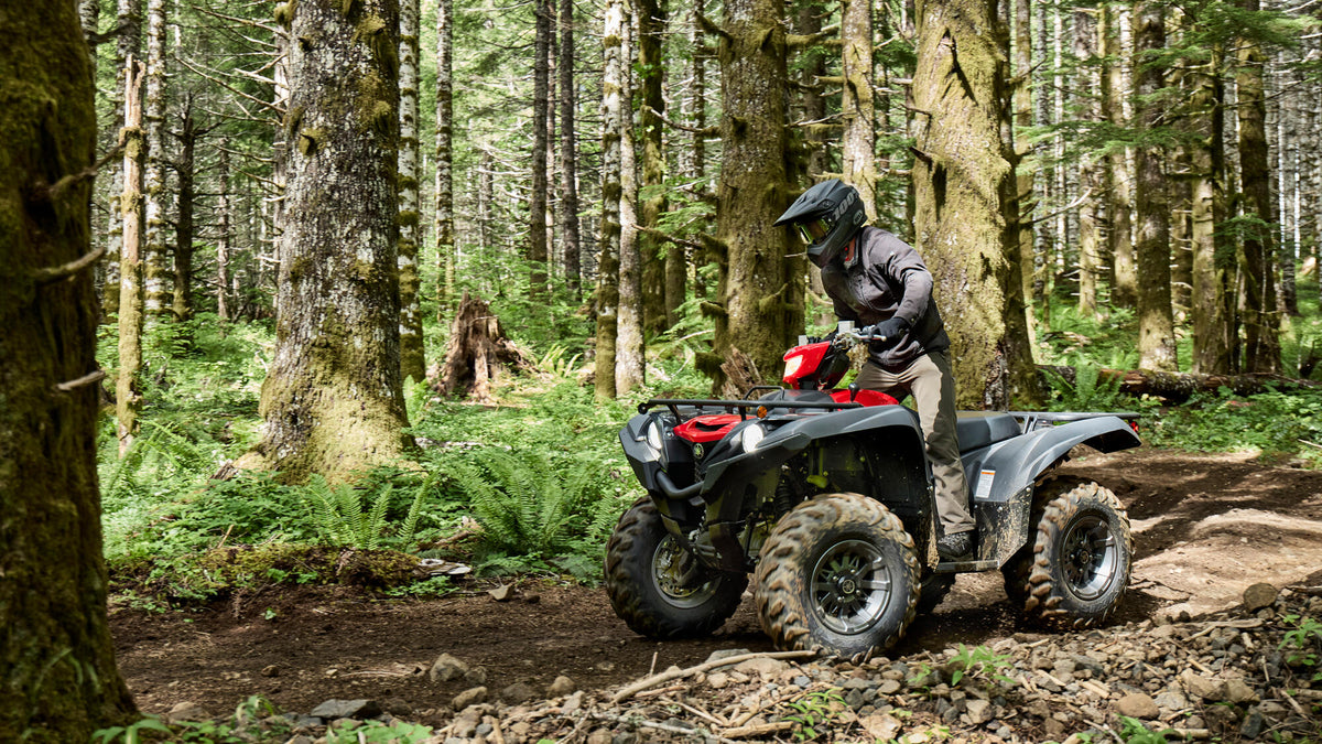 Grizzly 700 EPS