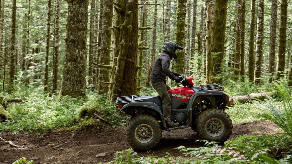 Grizzly 700 EPS