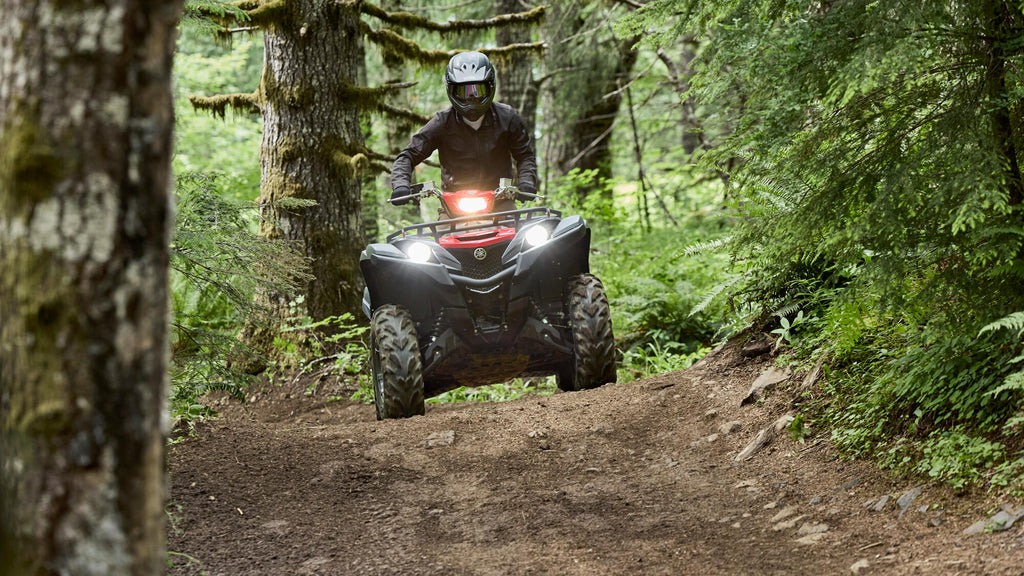 Grizzly 700 EPS