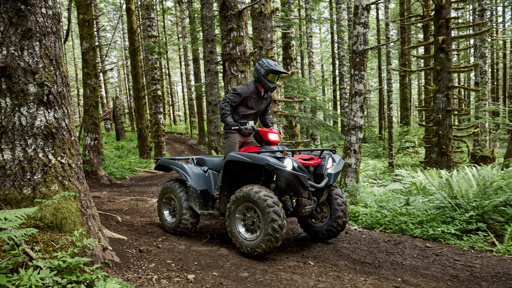 Grizzly 700 EPS