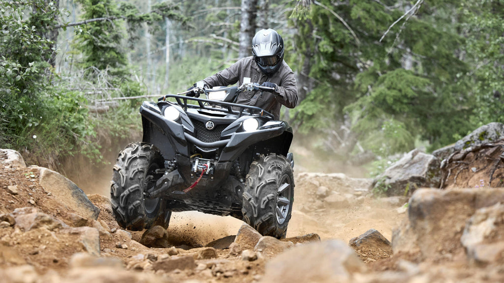 Grizzly 700 EPS SE