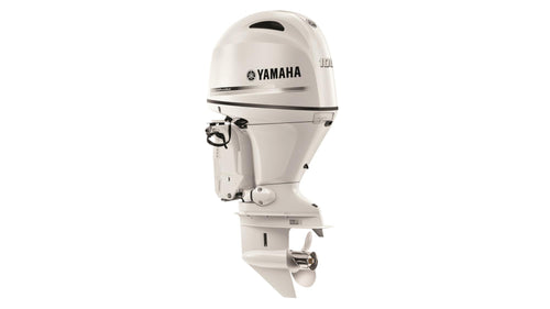 100 AG - Image 2