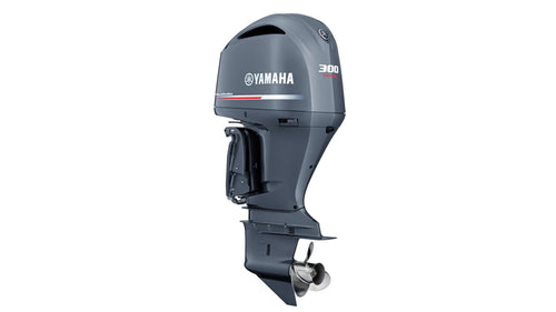 300 AG, V6 „Commercial“ - Image 1