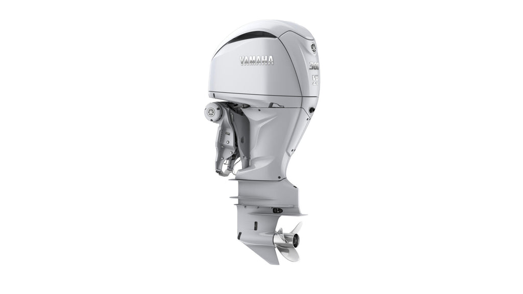 300 AG V6 - Image 1