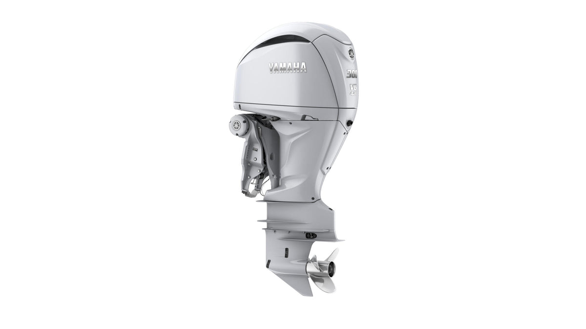 300 AG V6 - Image 1