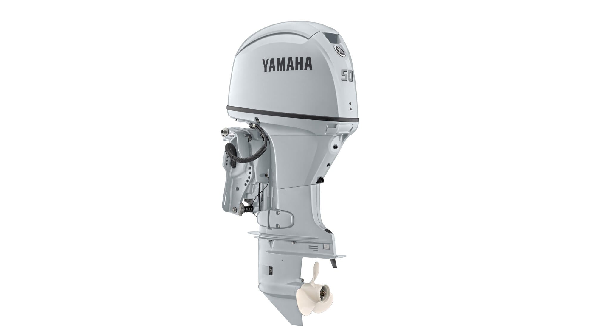 50 AG - Image 1