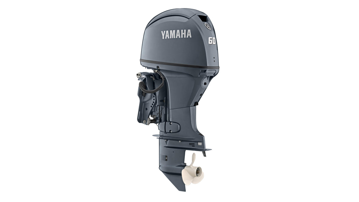 60 AG - Image 2