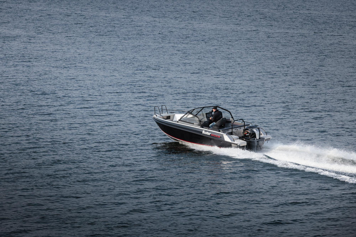 V MAX SHO 250 AG - Image 3