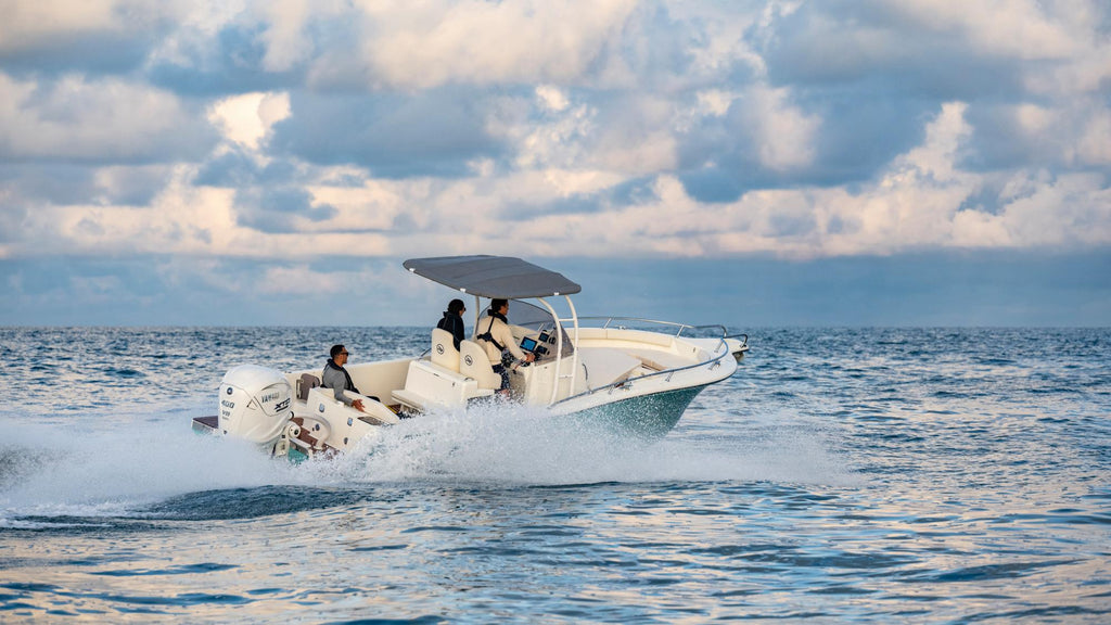 XTO 400 AG V8 - Image 4