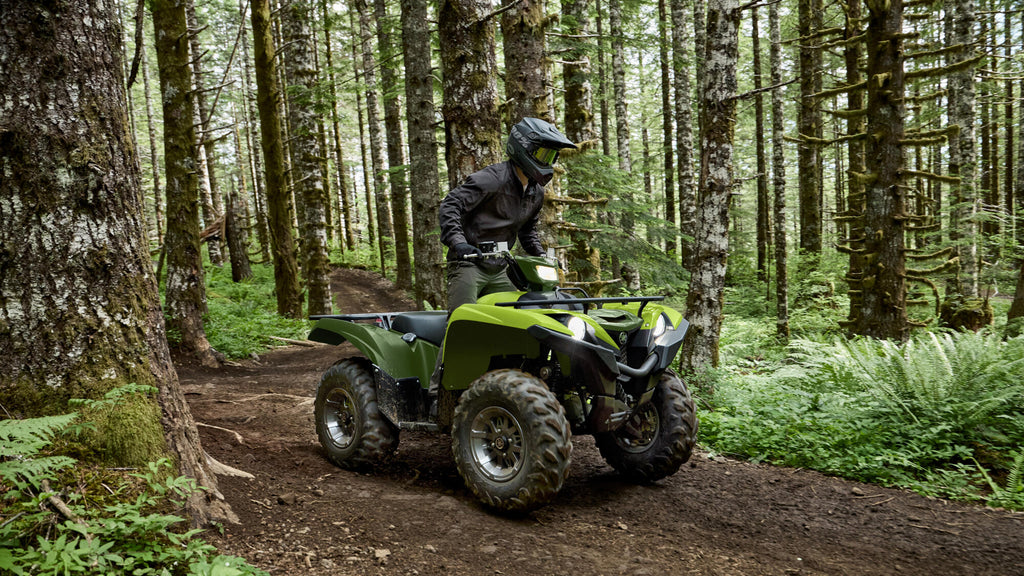 Grizzly 700 EPS