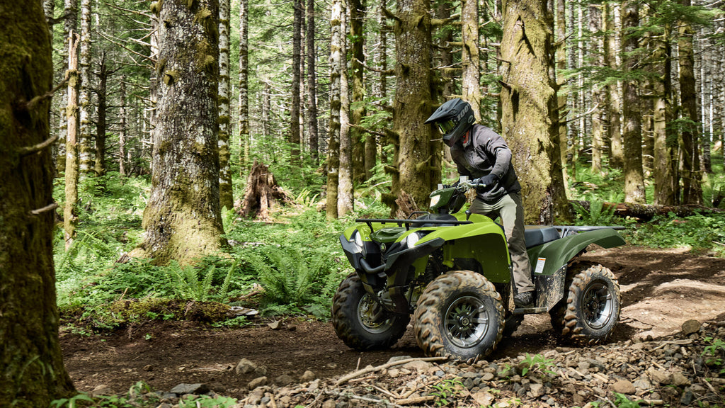 Grizzly 700 EPS