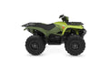 Grizzly 700 EPS