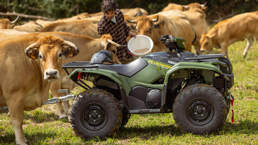 Kodiak 700 EPS