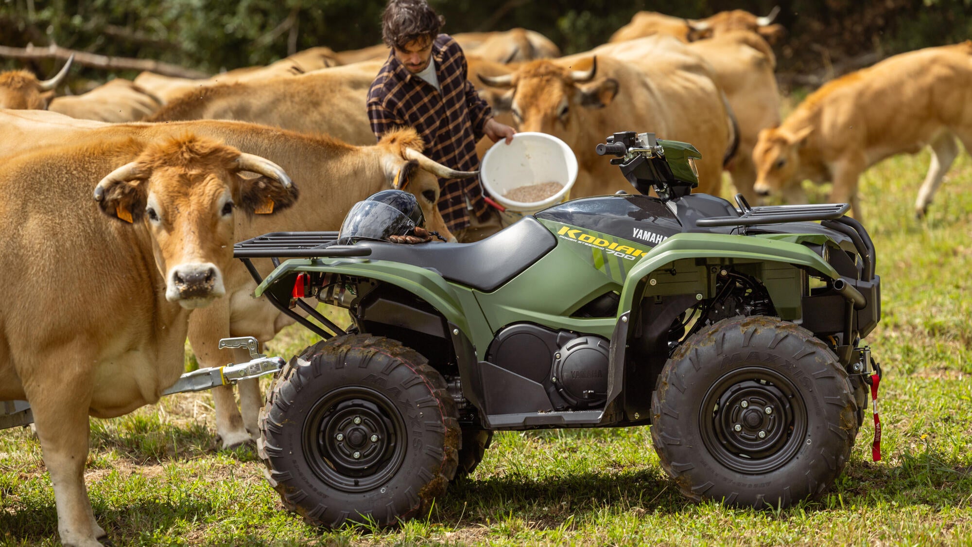Kodiak 700 EPS