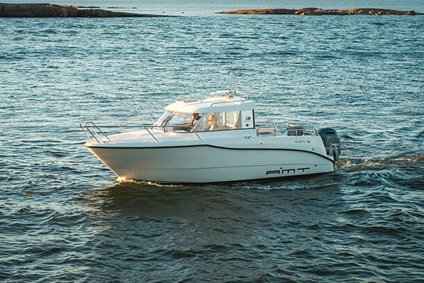 AMT 215 PH